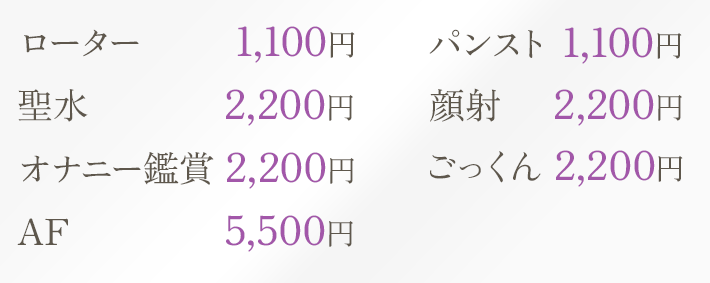 オプション料金表