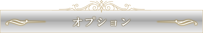 オプション料金